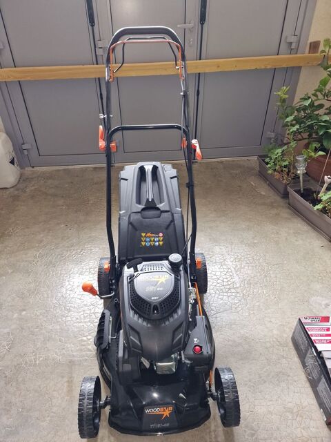 Tondeuse jardin essence neuve. 150 Couchey (21)