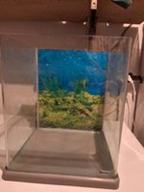  Aquarium cube   