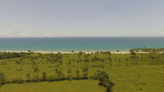  Plateau  vendre 50000 m