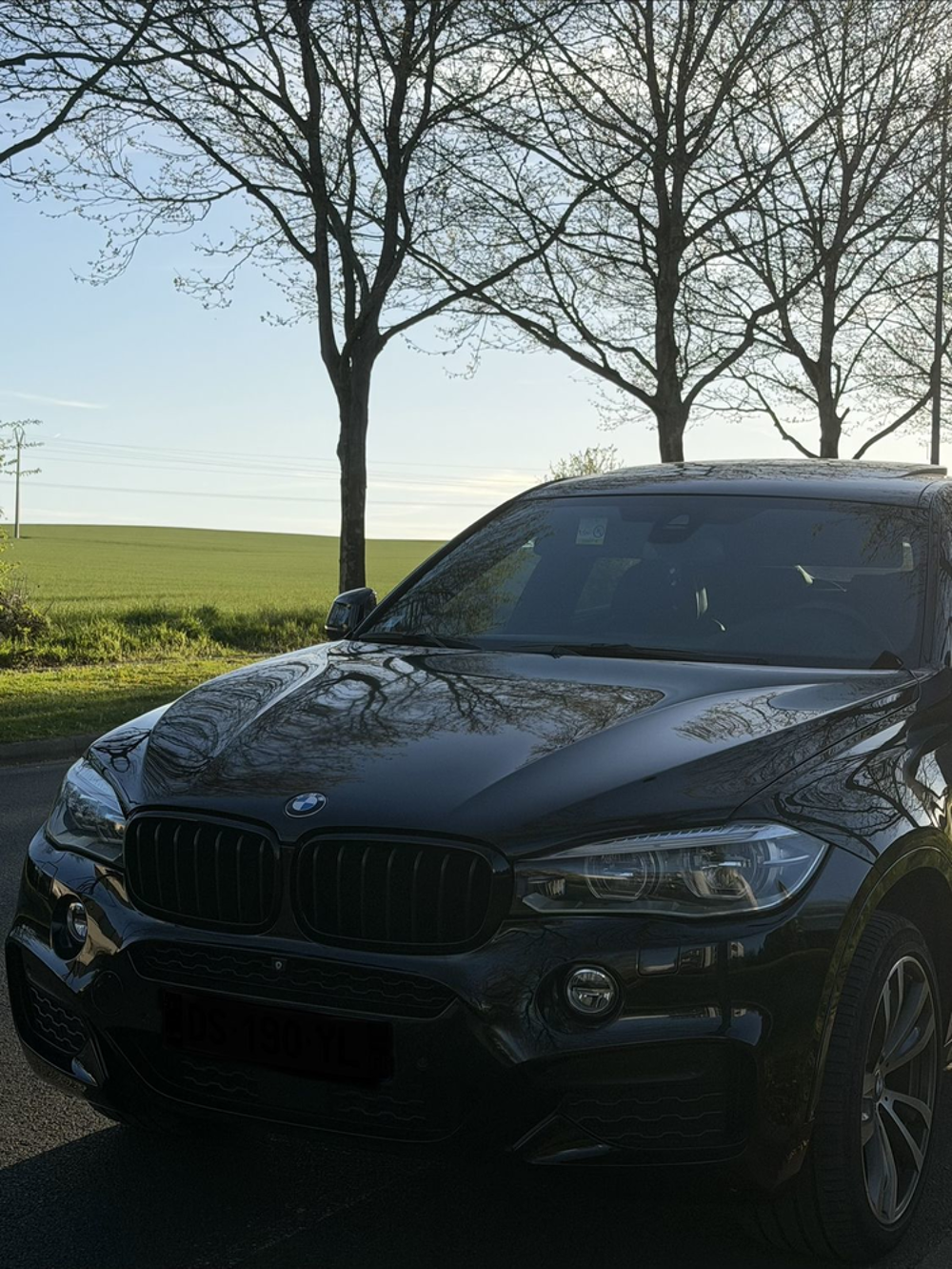 X6 xDrive40d 313 ch Exclusive A 2015 occasion 60000 Beauvais
