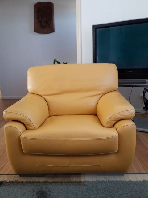 Fauteuil cuir 100 Foug (54)