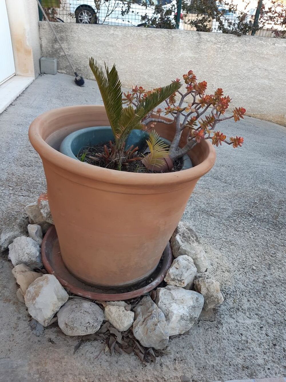 poterie decorative Jardin
