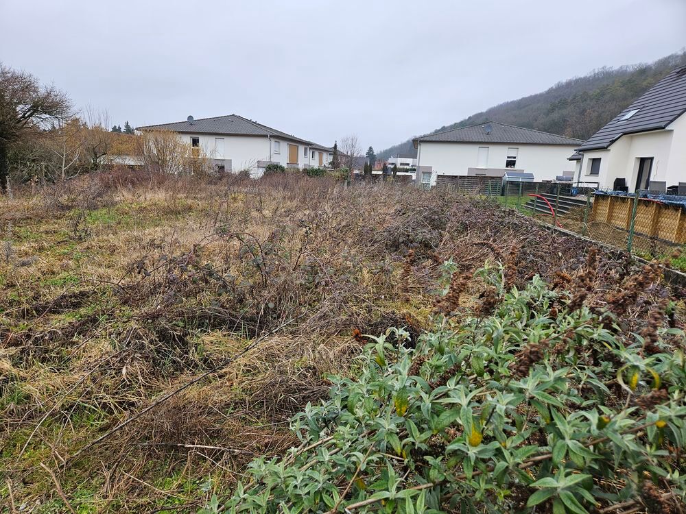 Vente Terrain Terrain viabilisé de 952m² Tagolsheim