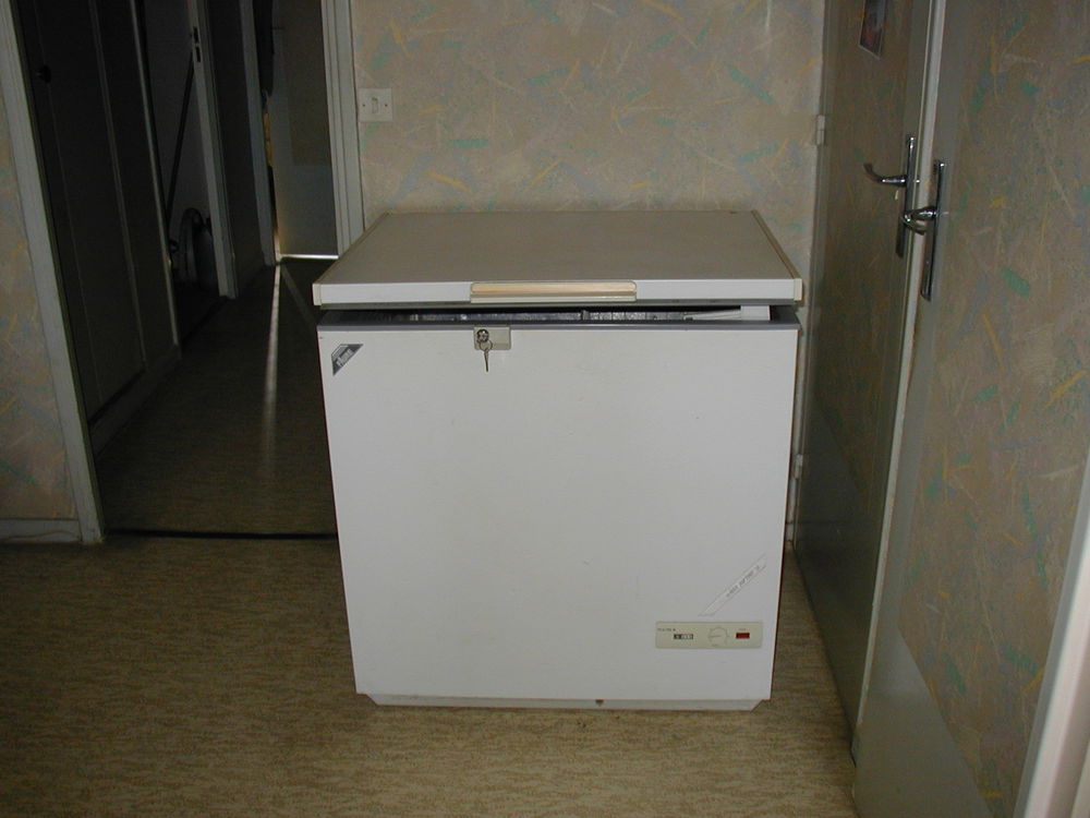 Cong&eacute;lateur coffre FAURE fch 752W Electroménager