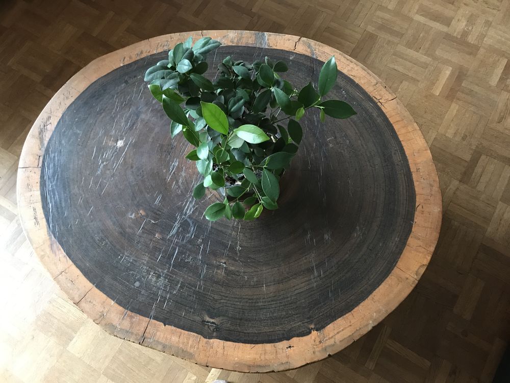 Table basse Padouk Meubles