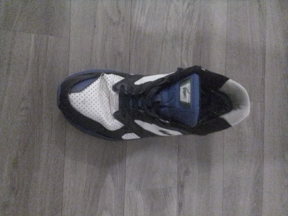basket lacoste Chaussures