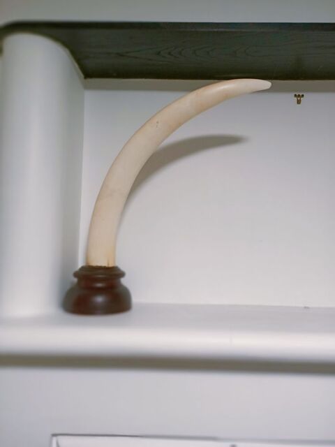 2 trophes de chasse anciens
6000 Limay (78)