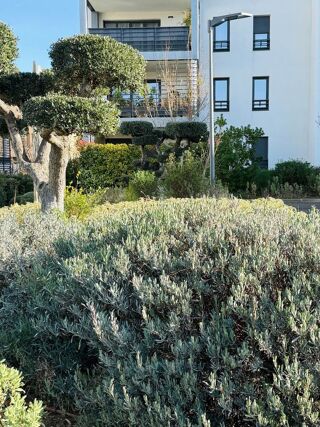  Appartement � vendre 3 pi�ces 62 m�