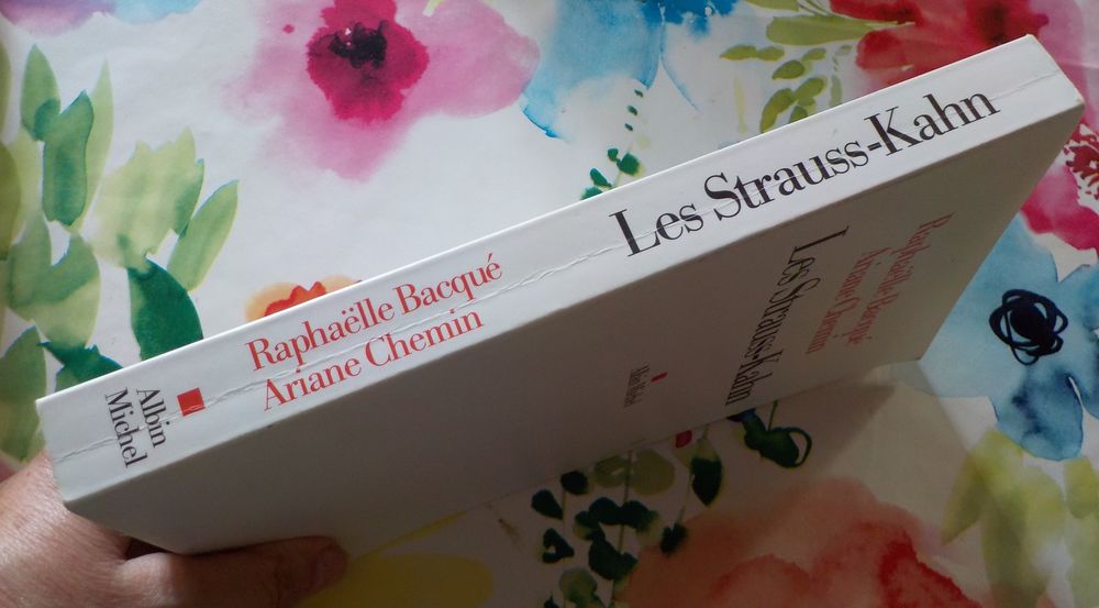 LES STRAUSS-KAHN par Rapha&euml;lle BACQUE et Ariane CHEMIN Livres et BD