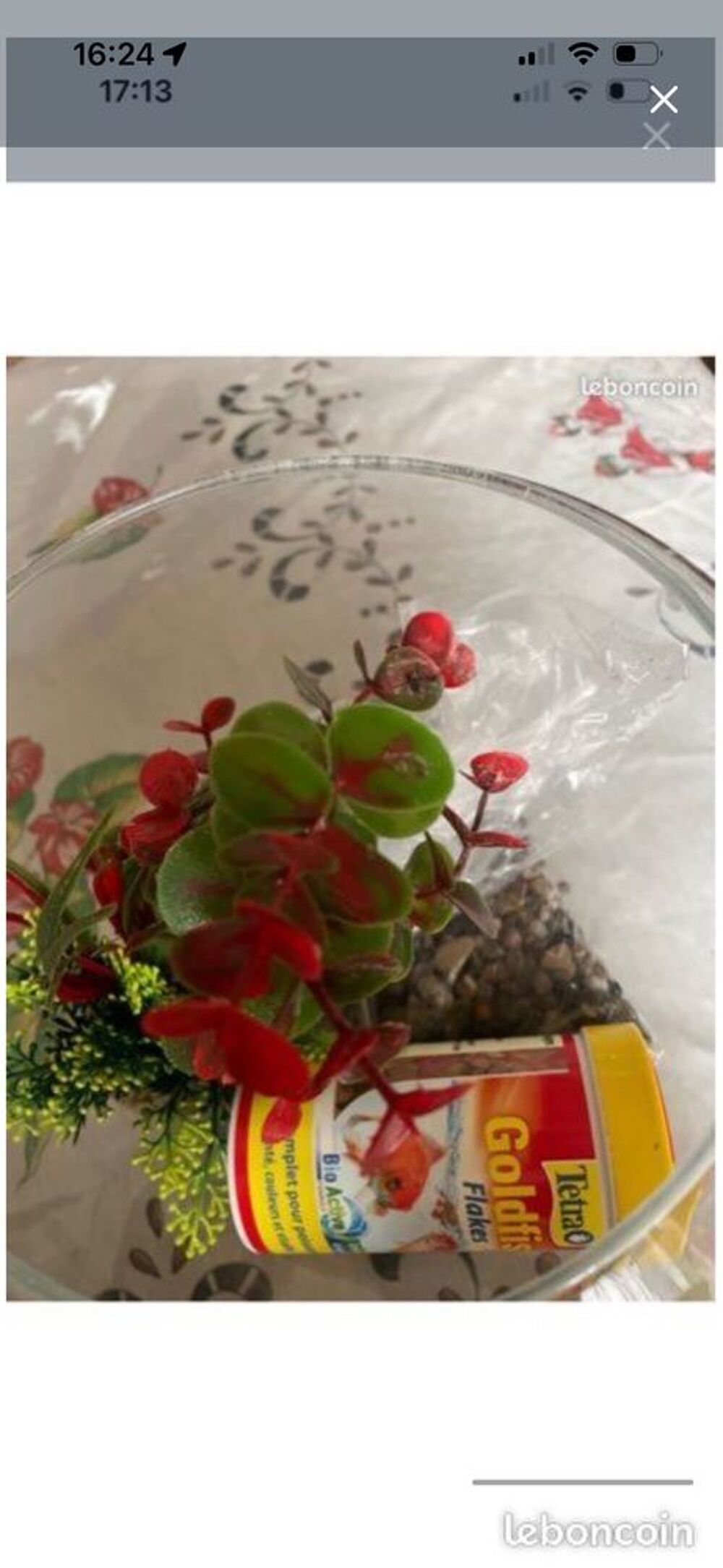 aquarium poisson Décoration