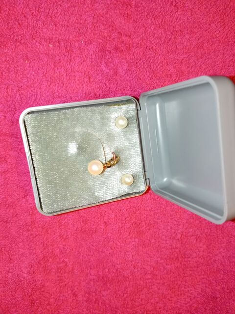 pendentif + clous d'oreilles 5 Bonnefamille (38)