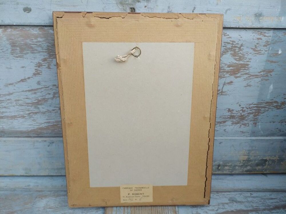 Tableau Gravure Ornithologie Albellus Eleazar Albin XVIIIe 