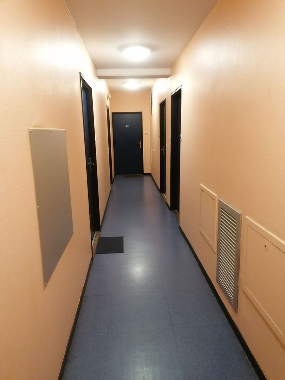 Location Appartement Appartement meublé proche de la gare de la part dieu Lyon 3