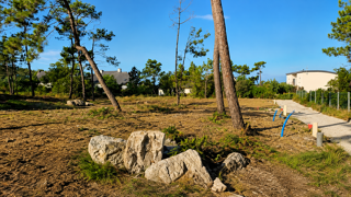  Terrain à vendre 1301 m² Crozon