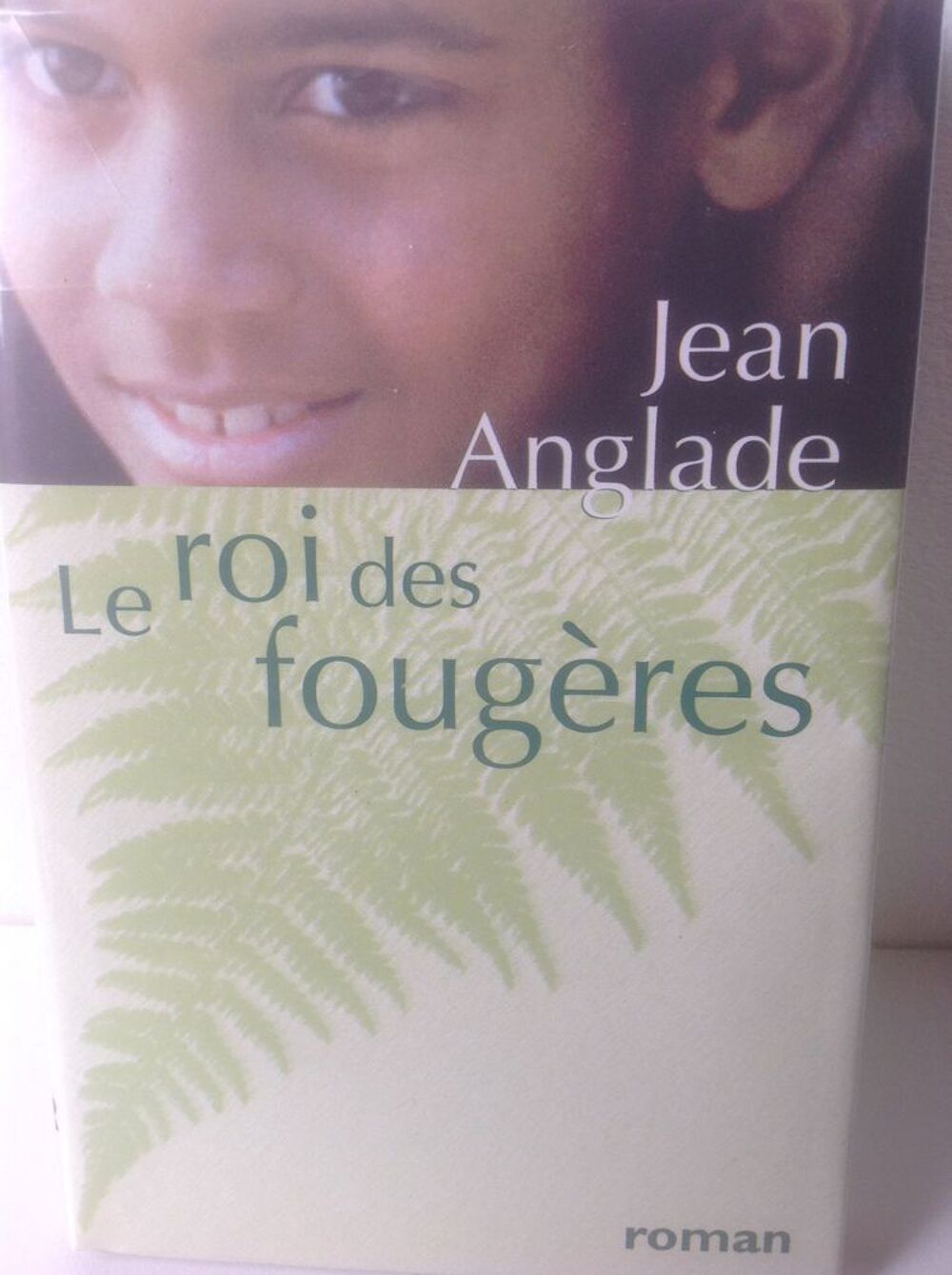 LE ROI DES FOUG&Egrave;RES DE JEAN ANGLADE Envoi Possible
Livres et BD