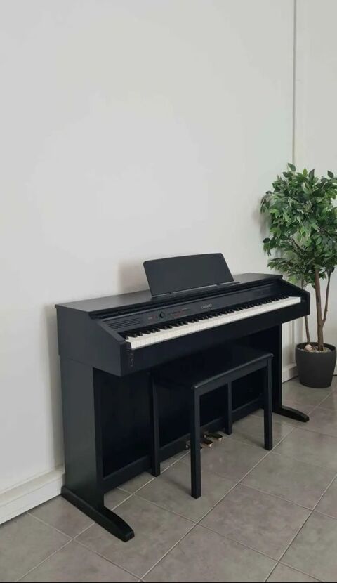 Casio Celviano AP-260 piano numérique  350 Antibes (06)