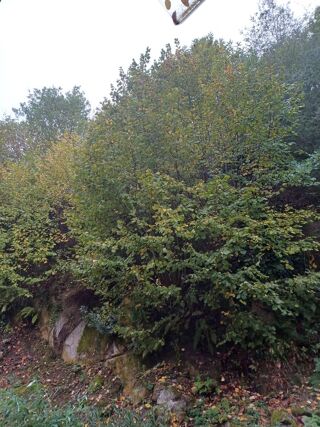  Terrain à vendre 3500 m² 