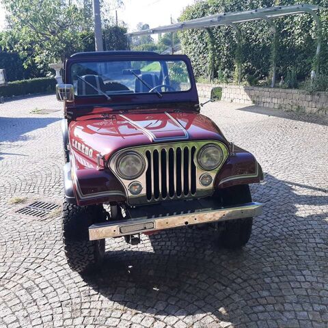 Jeep Divers CJ5 1980 occasion 10024 Moncalieri, TO, Italia 