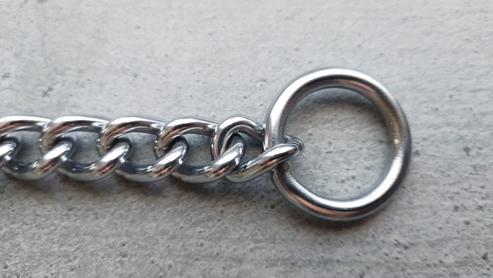 Collier Cha&icirc;ne en M&eacute;tal pour Chien en Acier Inoxydable 2-en1 Sports