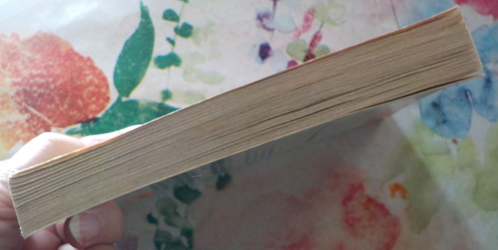 HISTOIRE EDIFIANTE DE BLANCHE-NEIGE ET DES SEPT NAINS J'ai L Livres et BD