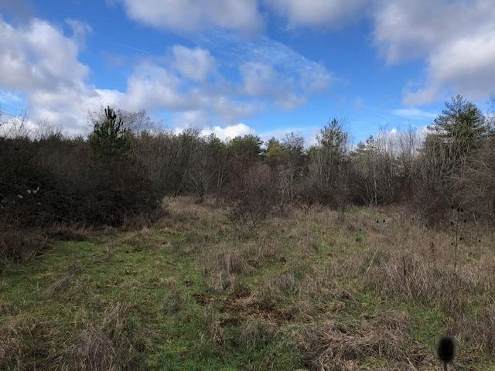 Vente Terrain AUX PORTES SUD DE DIJON TERRAIN LANDES BOIS SUR 1 HA 68 Dijon