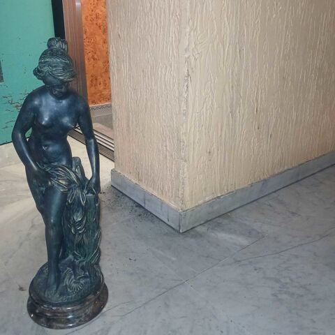 binieuse Toulouse (31)