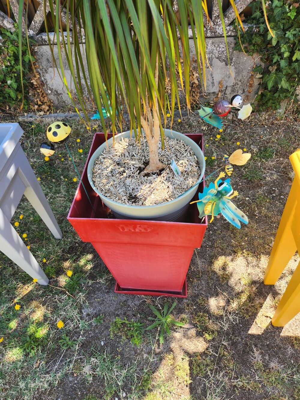 JARDINIERE ET POT DE FLEUR Jardin