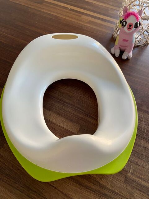 R�ducteur wc B�gles (33)