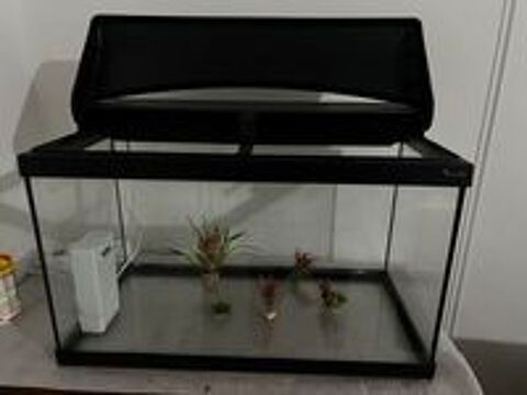   aquarium + pompe 