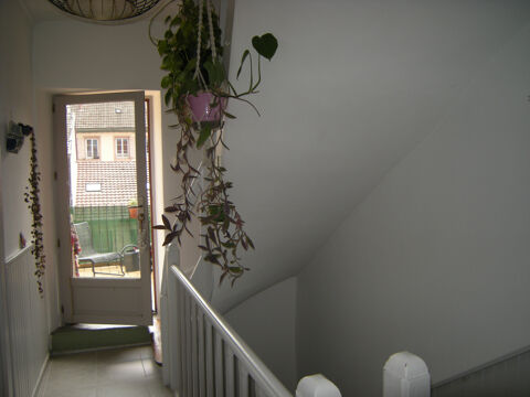  Appartement � louer 5 pi�ces 100 m�