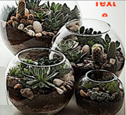   BOCAL  DECO - BOCAL BOULE  