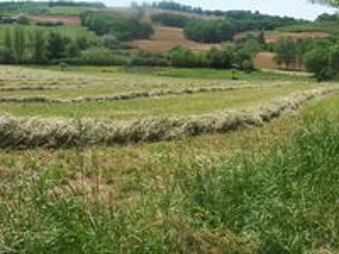   foin    botte   ronde 2025  bio  