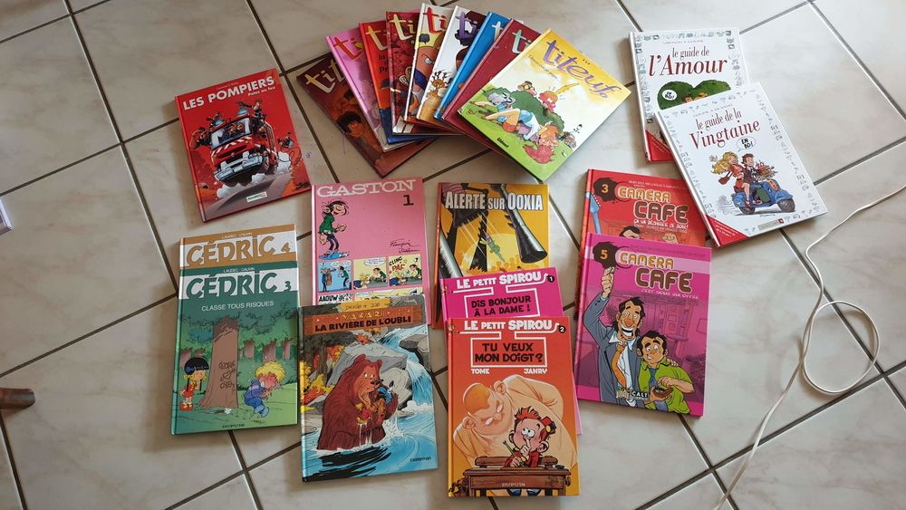 Lot de 21 BD Livres et BD