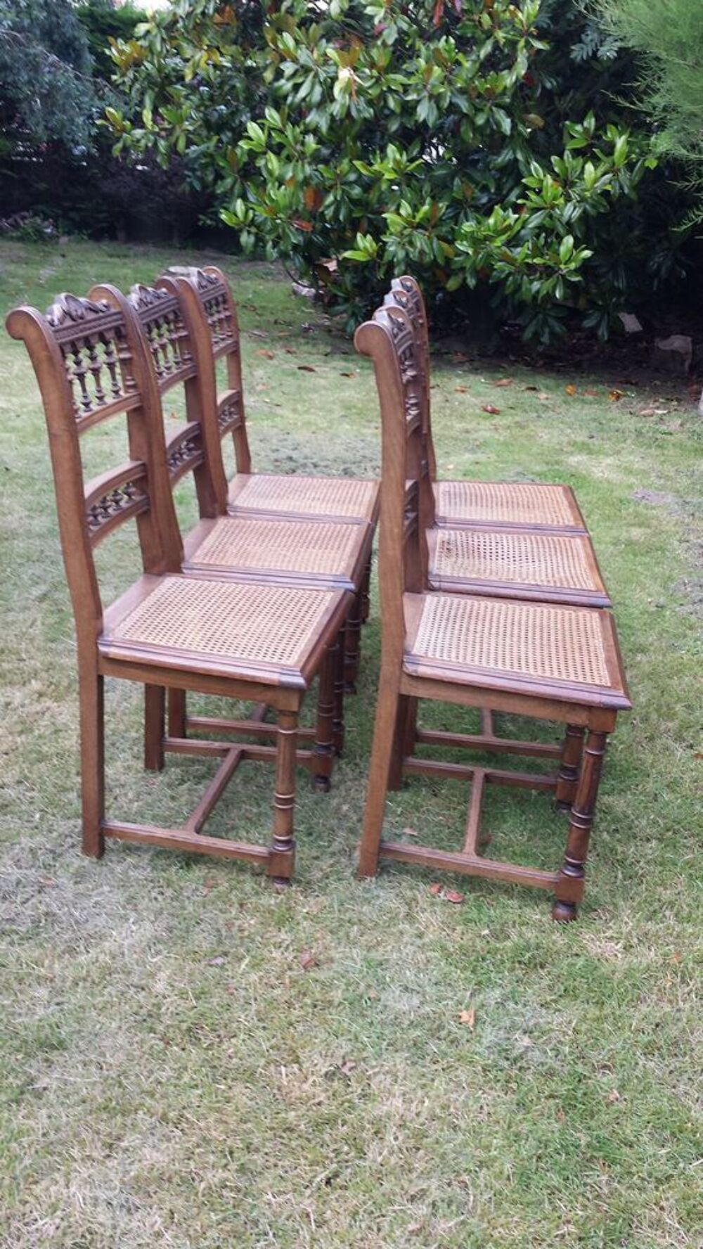 6 chaises salle &agrave; manger Meubles