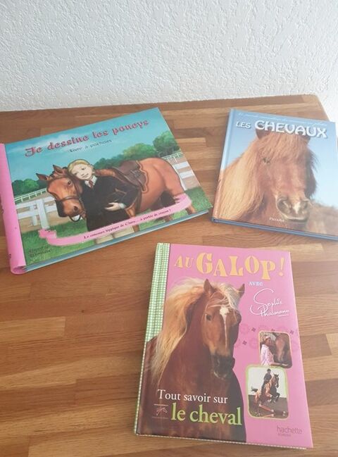 Lot de livres sur les chevaux dont un avec des pochoirs  10 Istres (13)