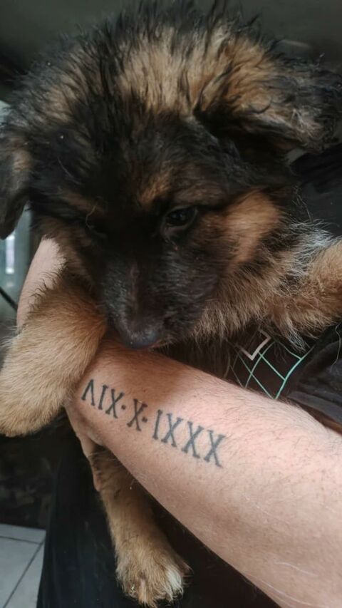 &agrave; r&eacute;server  700 22800 Le f�il