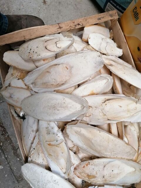 OS DE SEICHES 5 59287 Guesnain