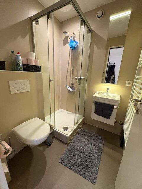   Beau T2 meublé, tout confort, sécurisé dans Annecy Appartement - 2 pièce(s) - 39 m²