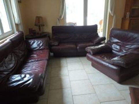 salon en cuir 75 Salles-sous-Bois (26)