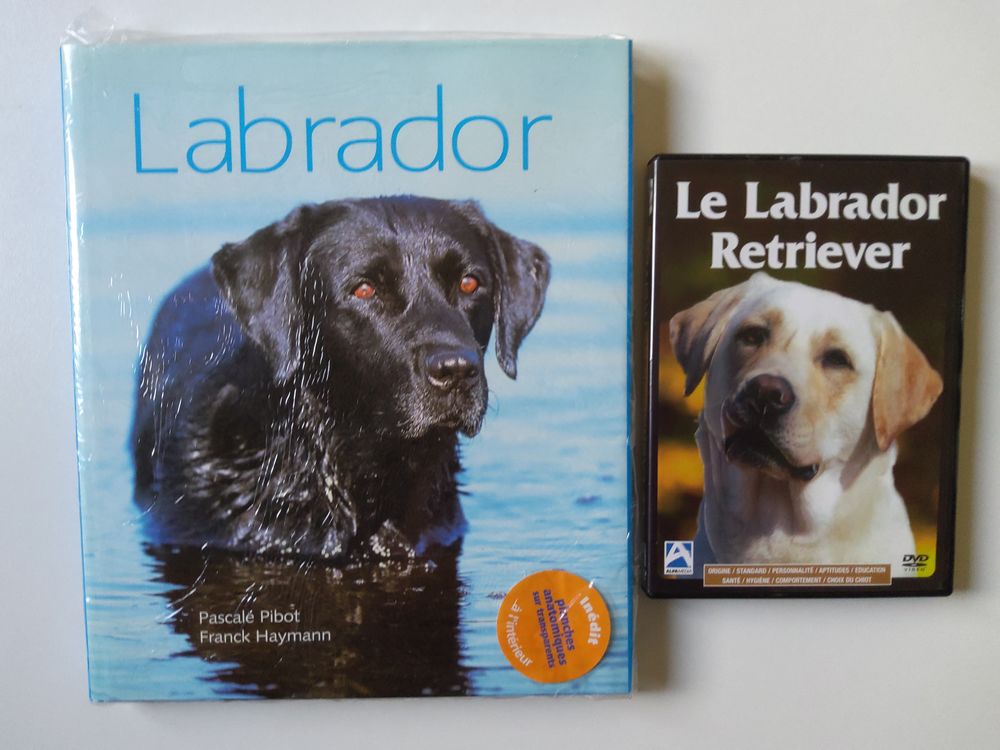 LE LABRADOR en livre et DVD Livres et BD