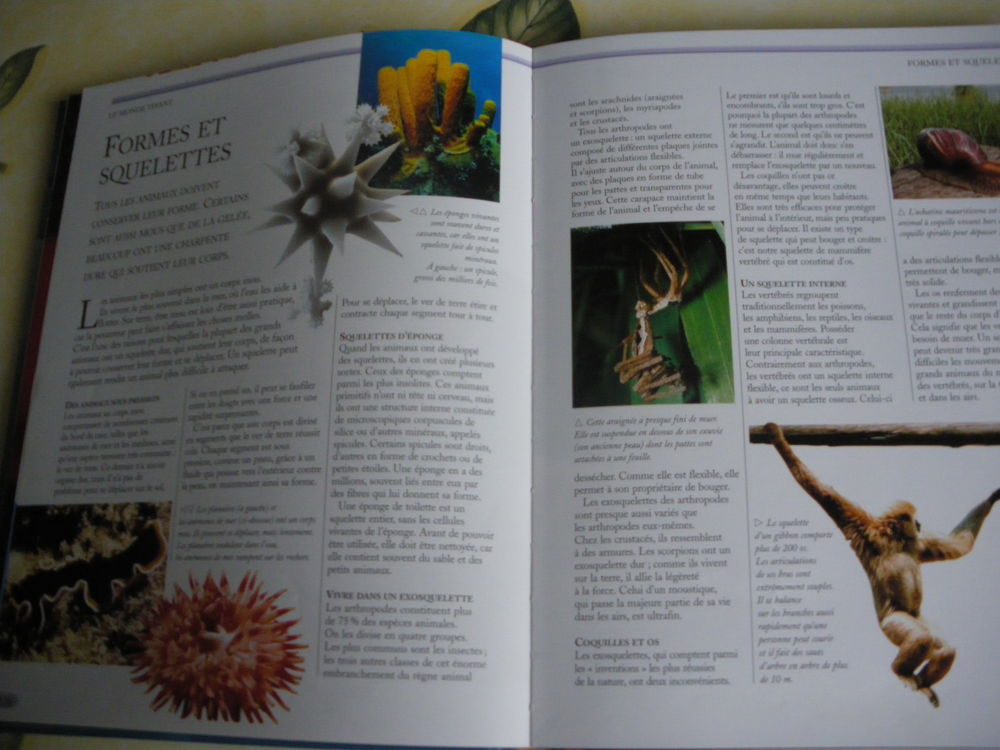 L'encyclop&eacute;die de la nature Livres et BD