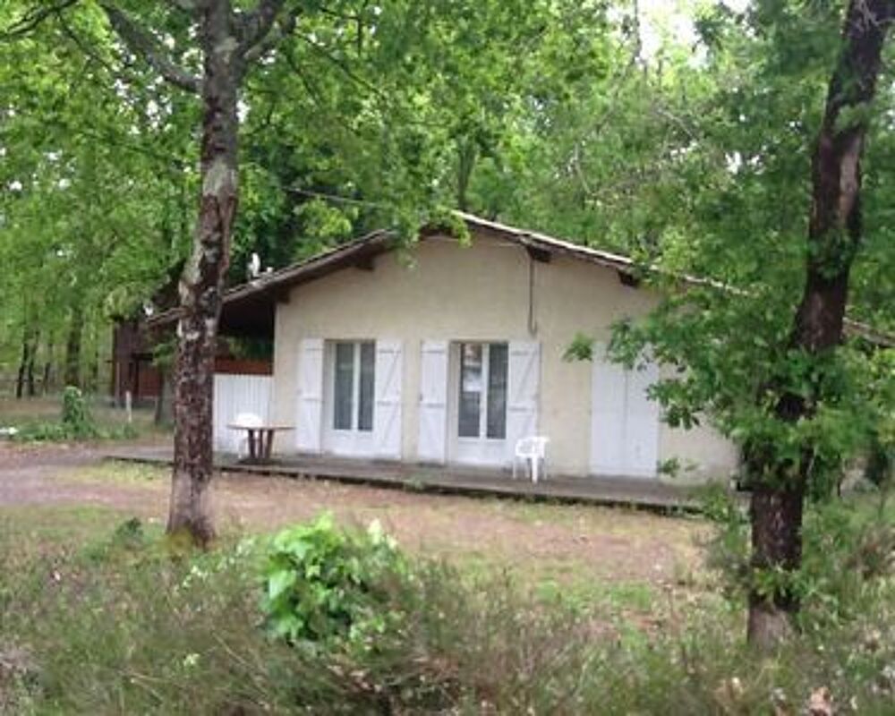 Vente Terrain JOLI  TERRAIN ARBORE AVEC DES CHENES ET CHATAIGNERS  DE 1606 Vensac