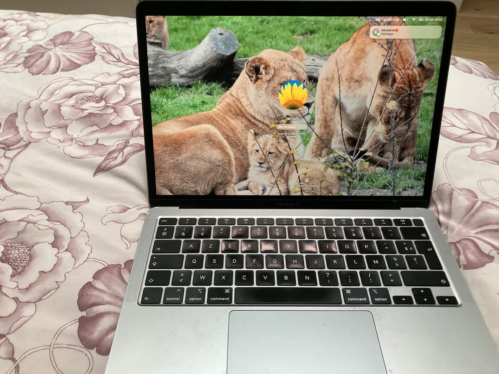 MacBook Air 2020 Matériel informatique