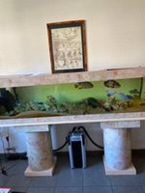   AQUARIUM COMPLET + POISSONS 