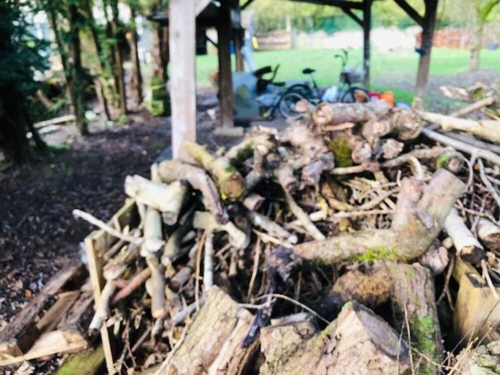 BOIS DE CHAUFFAGE Jardin