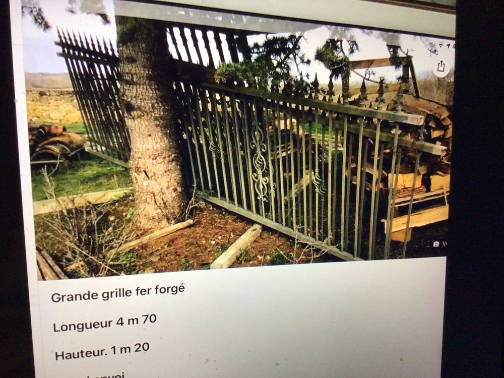 2 grandes grille fer forg&eacute; grande taille Jardin
