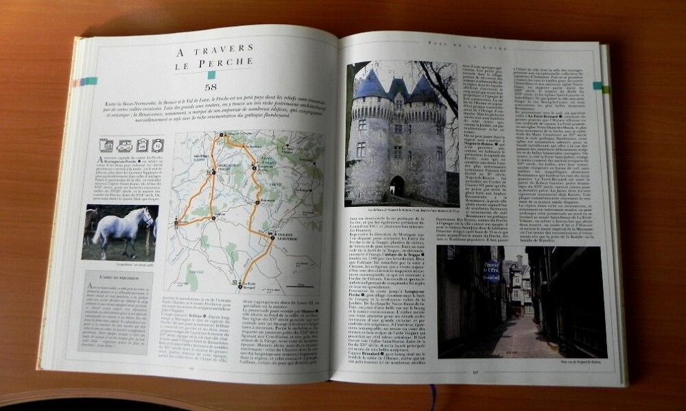 Les plus belles promenades du patrimoine en France Livres et BD