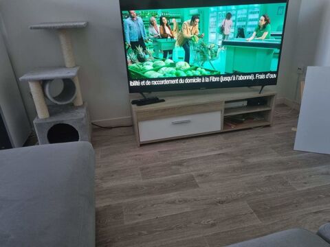 Meubles tlvision 100 Saint-Sbastien-sur-Loire (44)