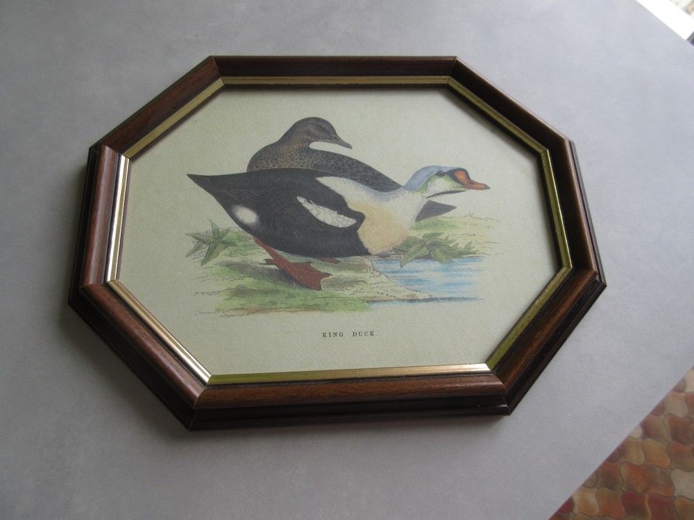 Cadres motif canard Décoration