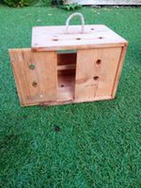   boite de transport oiseaux 
